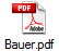Bauer.pdf